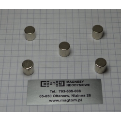Magnesy neodymowe walcowe do tablicy magnetycznej zestaw 5 szt 8x8